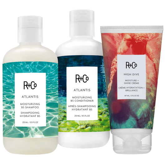 R+Co Hydrate + Restore Hair Goals Kit